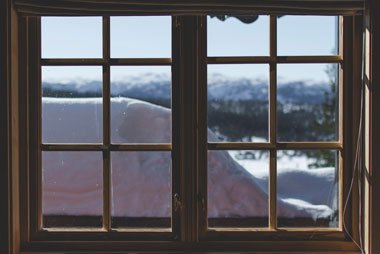 Services window scene